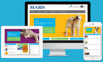 website picture